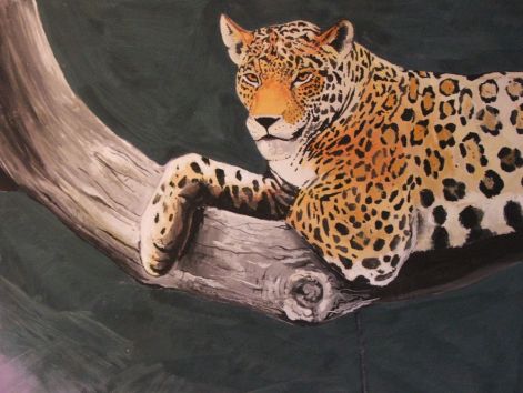 jaguar2.jpg